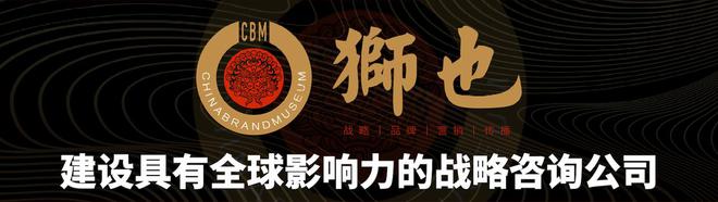 狮也咨询｜央企战略规划与品牌建设分析之中国矿产资源集团｜国企(图2)