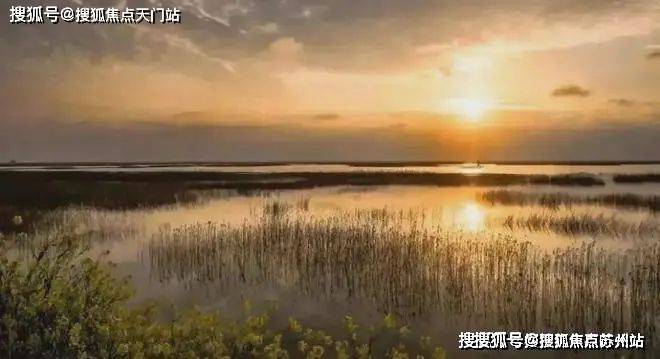 上实和风院-首页网站-上海崇明上实和风院售楼处丨欢迎您房价_房型-售楼处位置(图20)