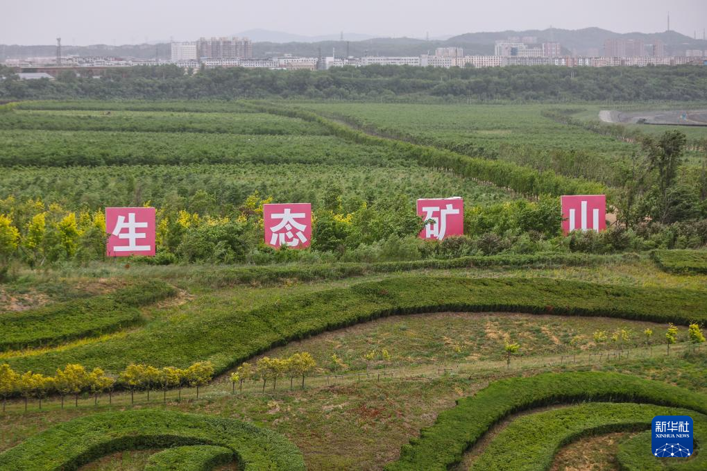 中央媒体看辽宁丨新华社：让“工业伤疤”长出春天——辽宁加快废弃矿山治理观察(图3)