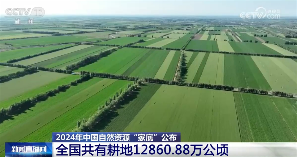 基础稳、韧性强、潜力大 多维数据梳理2024年中国自然资源“家底”(图1)