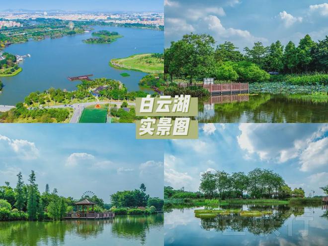 2024八月广州越秀天悦云湖官网—户型—价格折扣— 项目最新资讯(图13)