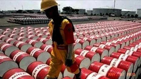九游娱乐：加拿大石油储量位列全球第三中国为何不多进口背后真相大揭秘(图4)