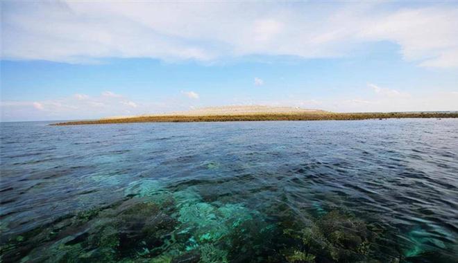明明守着南海巨量石油连越南都在挖为何我国却一直到处买石油(图5)