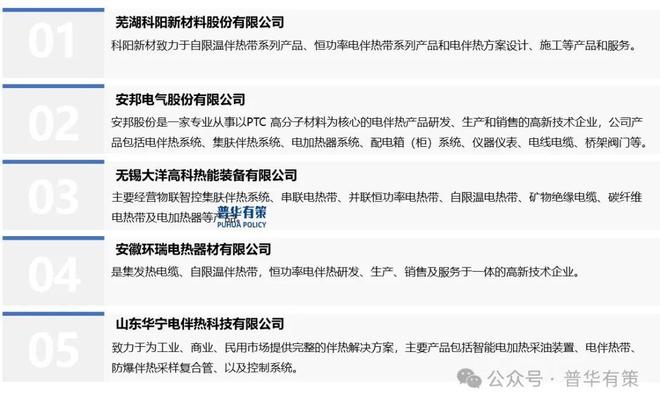 2025-2031年电伴热产品行业细分市场调研及投资可行性分析报告(图3)
