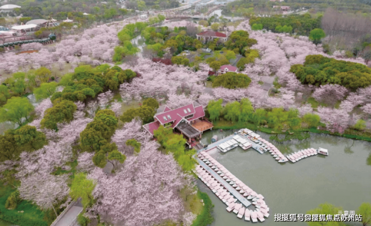 招商时代乐章售楼处电话-招商时代乐章-首页网站-2025楼盘测评-售楼处欢迎您_最新房价户型(图11)