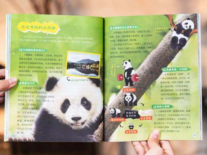 九游app入口：新京雅集——用一套书打卡全国34座城市(图6)
